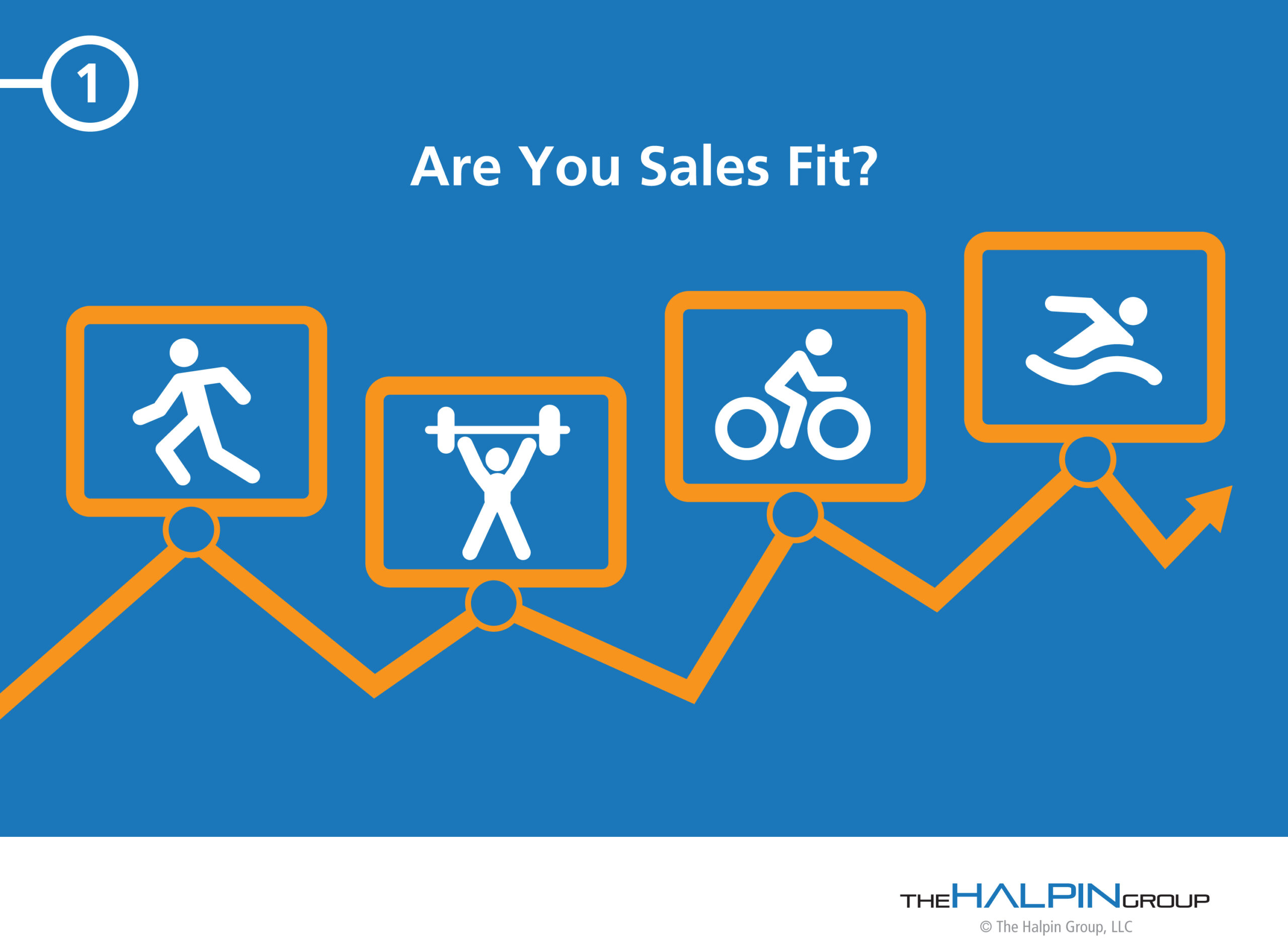 sales-fit-the-halpin-group